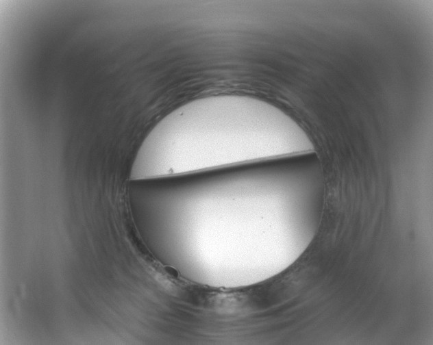 X0000066940277200603240942