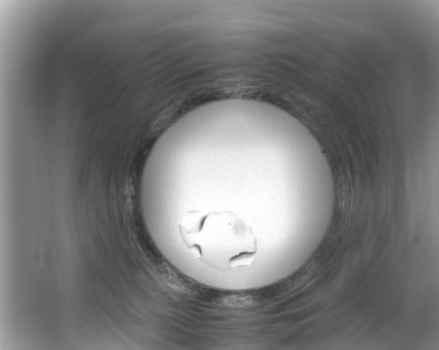 X0000066940279200603240942