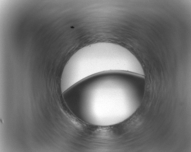 X0000066940280200603240942