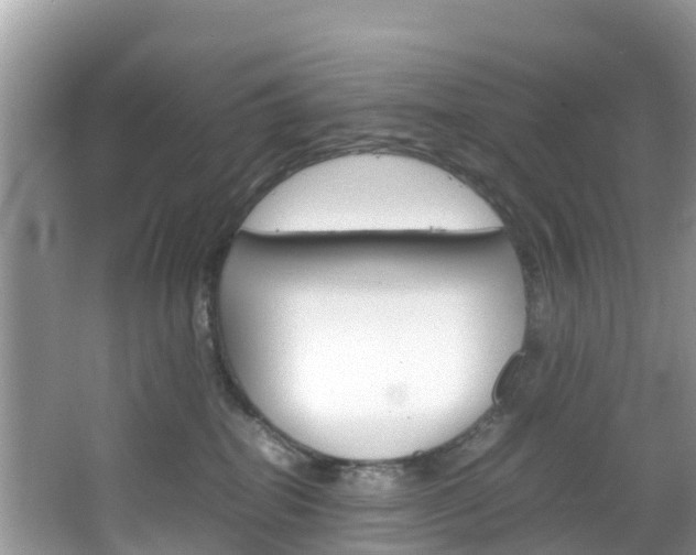 X0000066940282200603240942