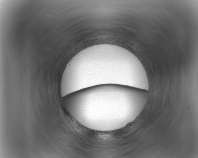 X0000066940283200603240942