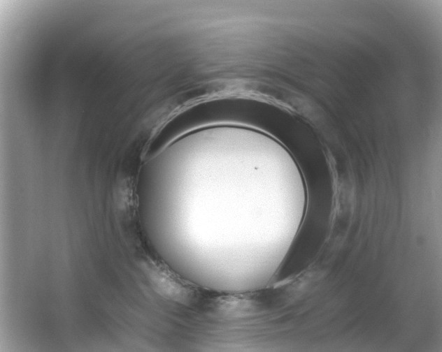 X0000066940284200603240942