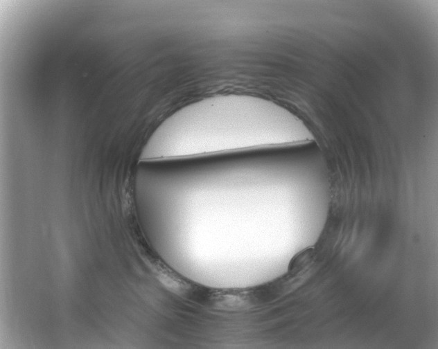 X0000066940285200603240942