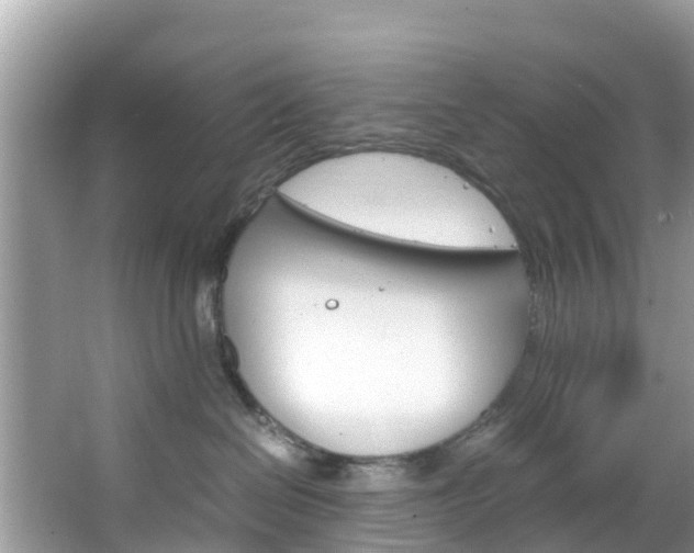 X0000066940286200603240942