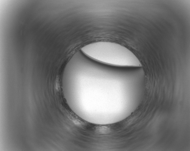 X0000066940287200603240942