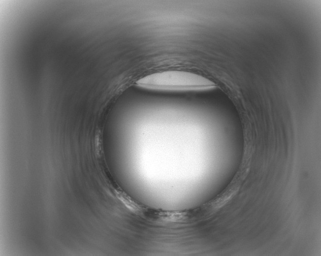 X0000066940288200603240942