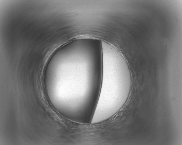 X0000066940289200603240942