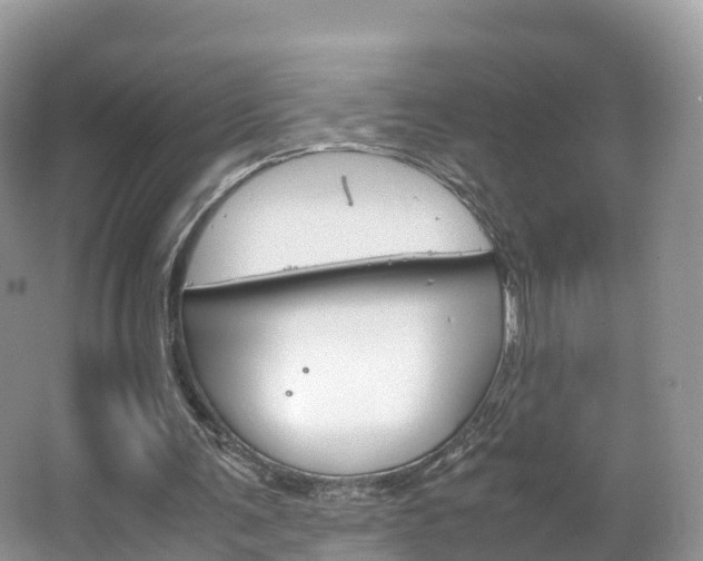 X0000066940291200603240942