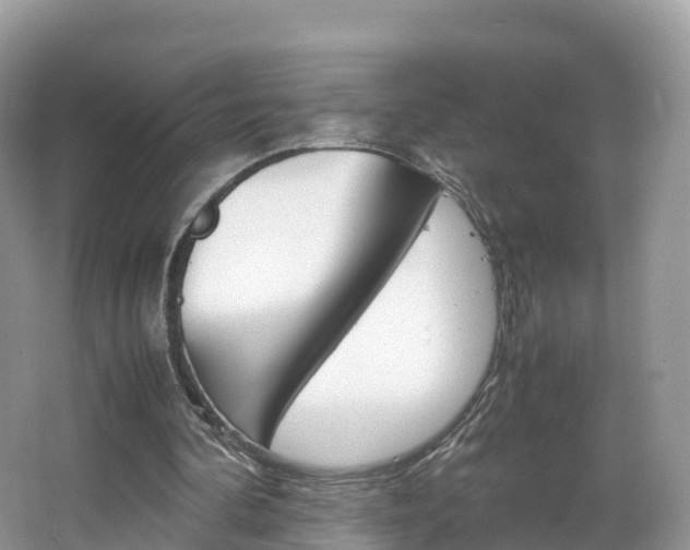 X0000066940292200603240942