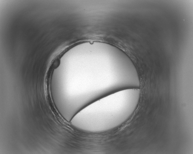 X0000066940294200603240942