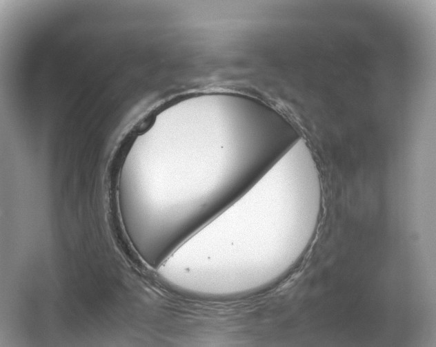 X0000066940295200603240942