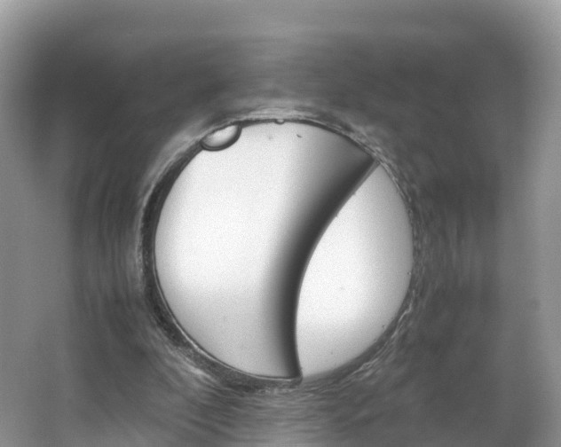 X0000066940296200603240942