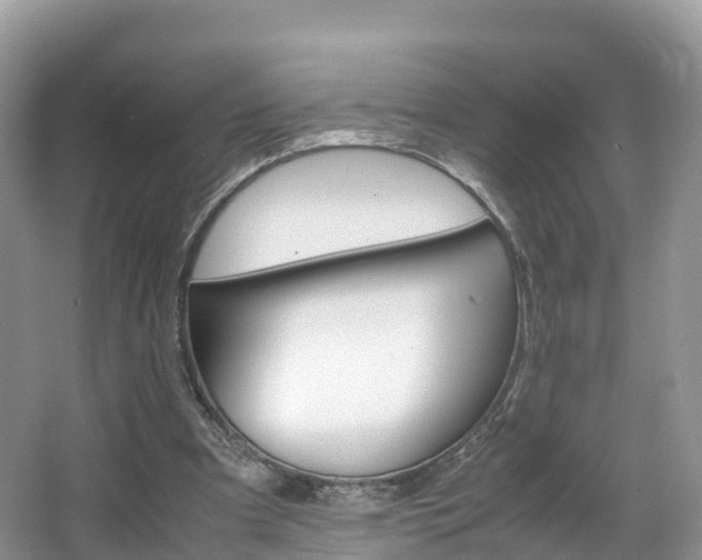 X0000066940297200603240941