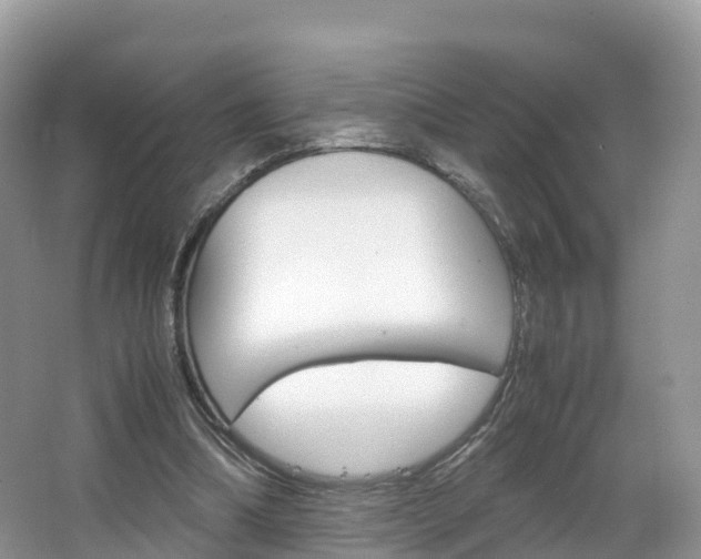 X0000066940298200603240941