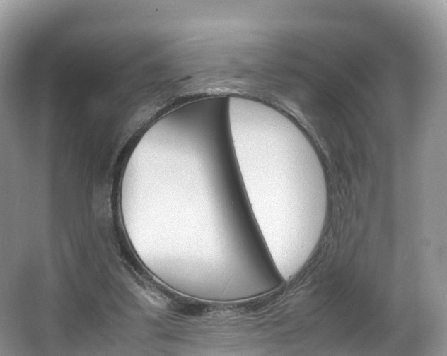 X0000066940299200603240941