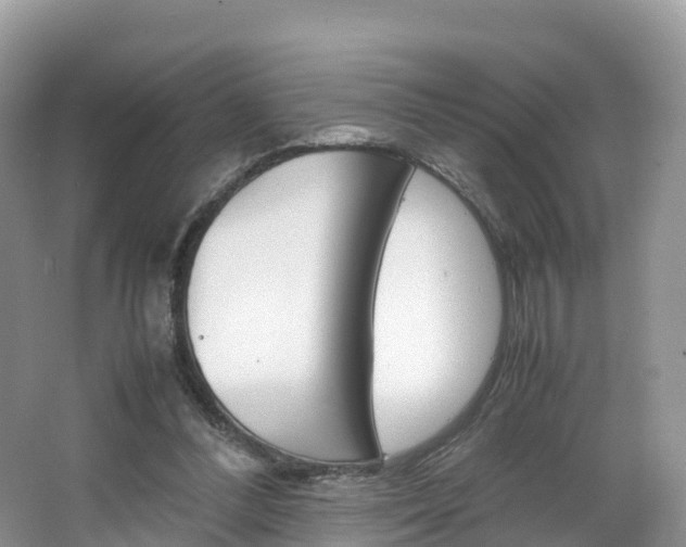 X0000066940300200603240941