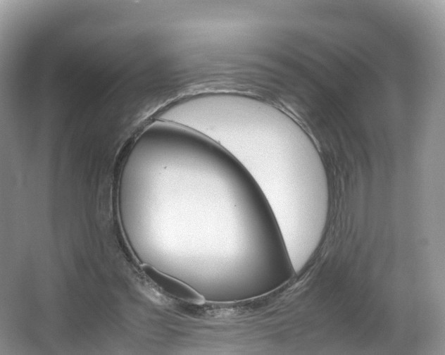 X0000066940301200603240941