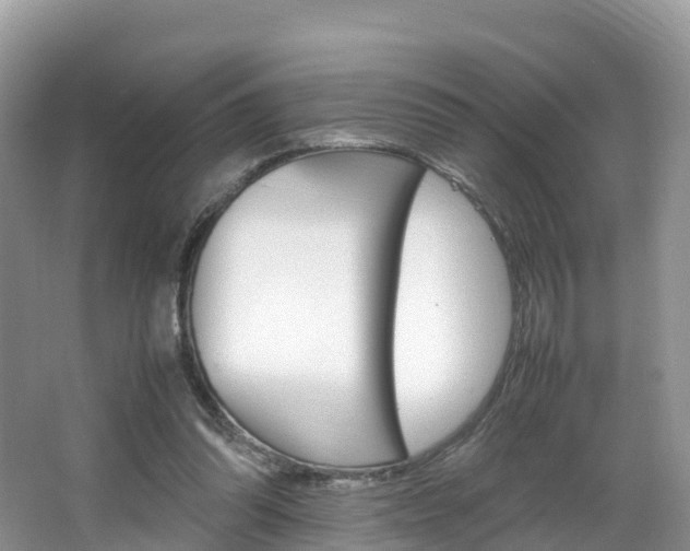 X0000066940302200603240941