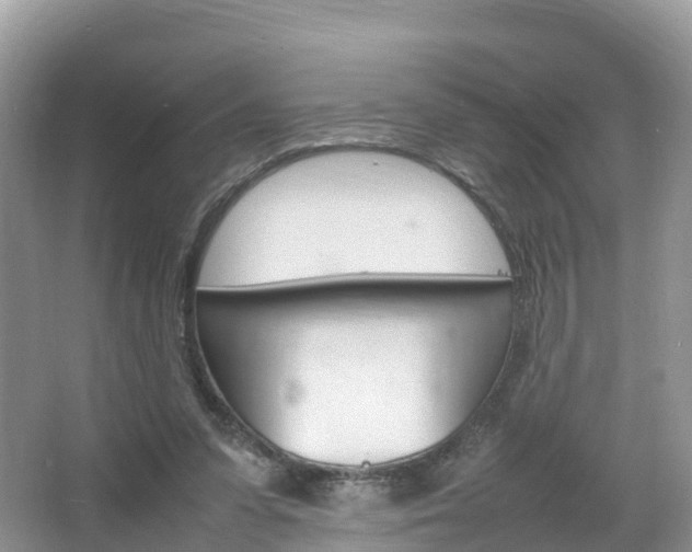 X0000066940303200603240941