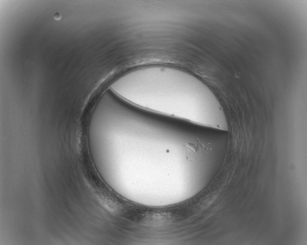 X0000066940304200603240941