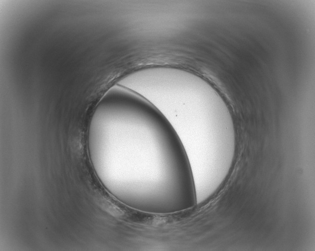 X0000066940305200603240941