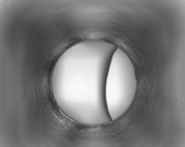 X0000066940306200603240941