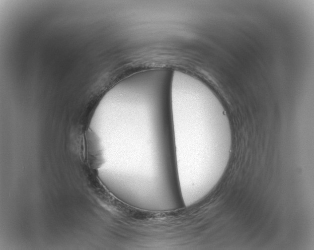 X0000066940307200603240941