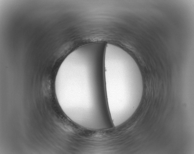 X0000066940308200603240941