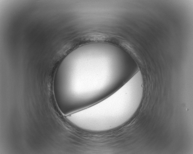 X0000066940309200603240941