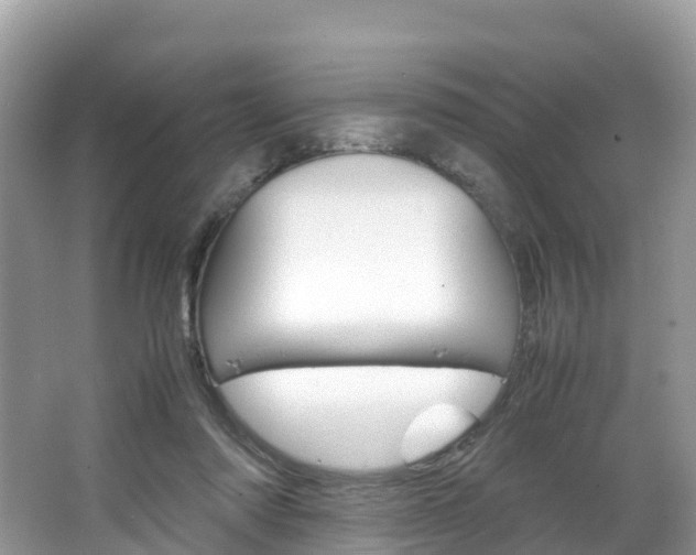 X0000066940310200603240941