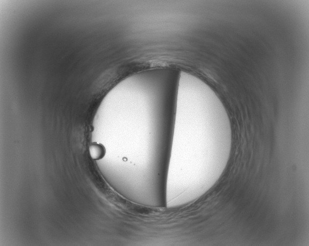 X0000066940311200603240941