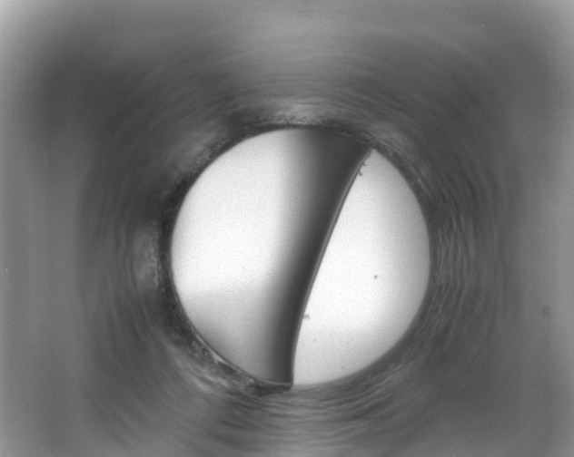 X0000066940312200603240941