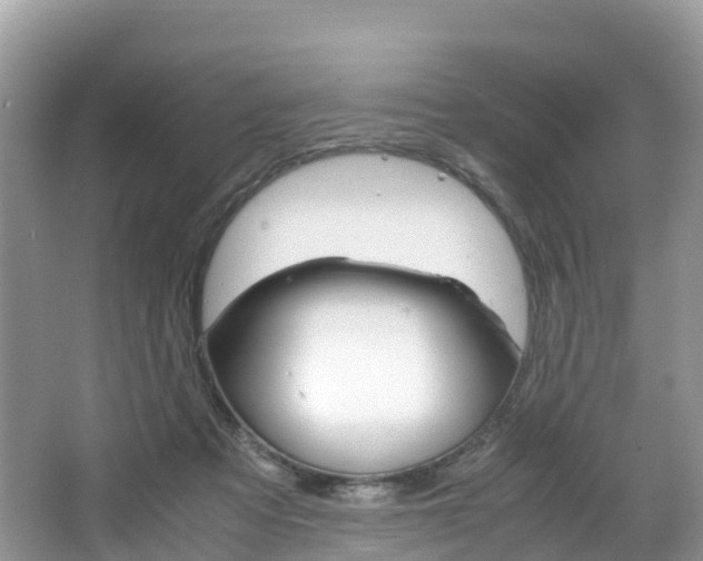 X0000066940313200603240941