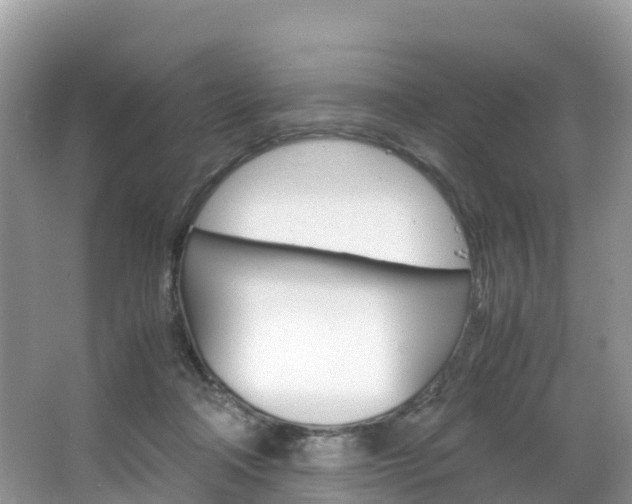 X0000066940314200603240941