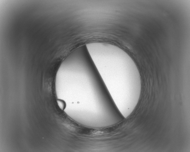 X0000066940315200603240941