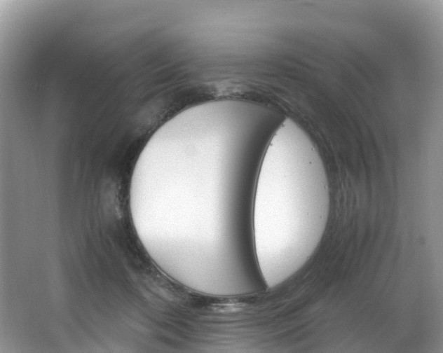 X0000066940316200603240941