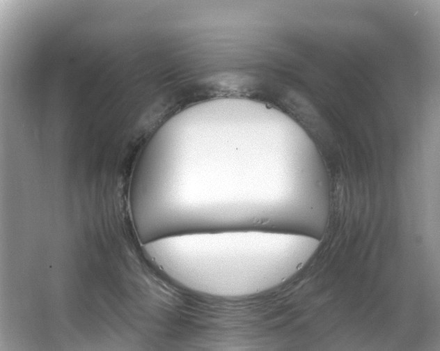 X0000066940318200603240941