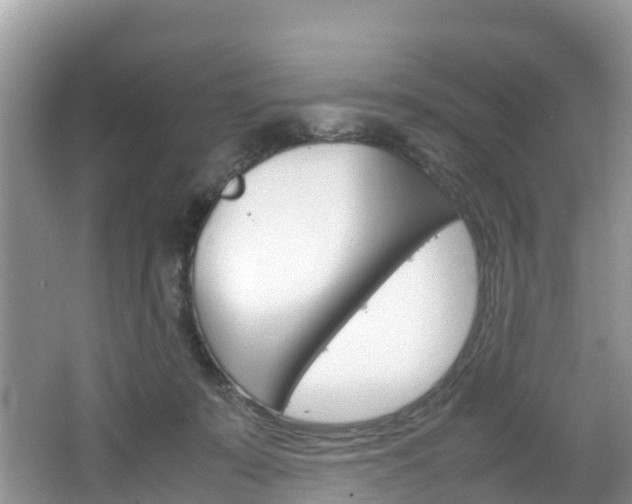 X0000066940319200603240941