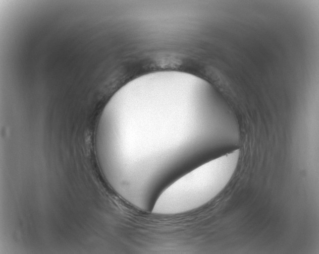 X0000066940321200603240941