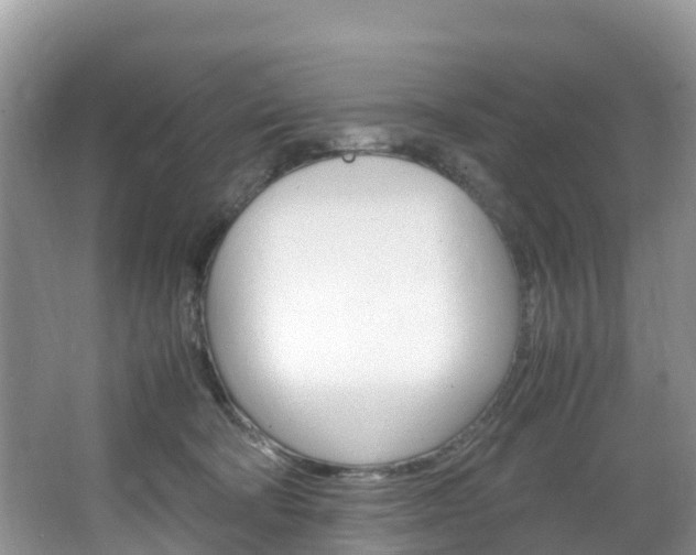 X0000066940322200603240941