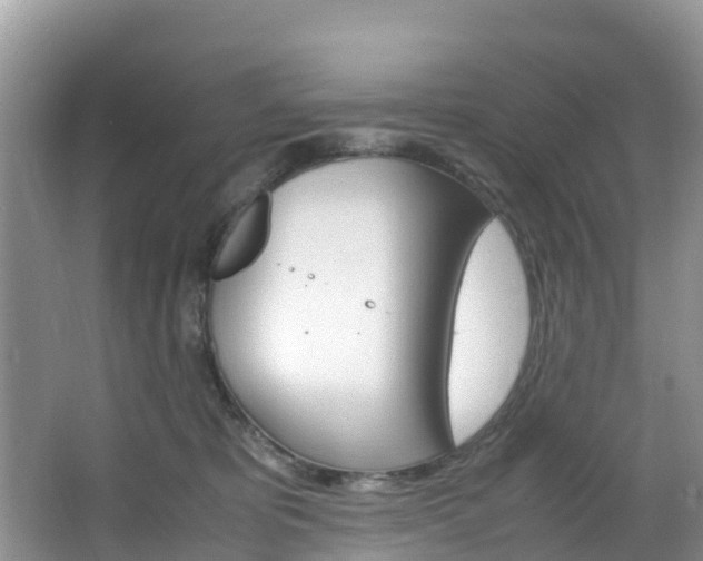 X0000066940325200603240941