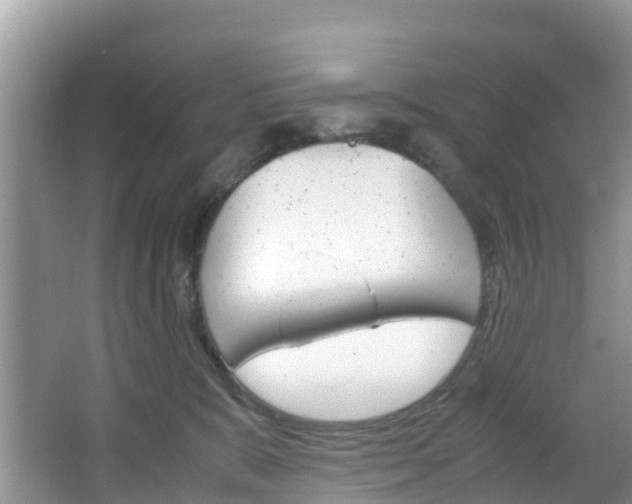 X0000066940327200603240941