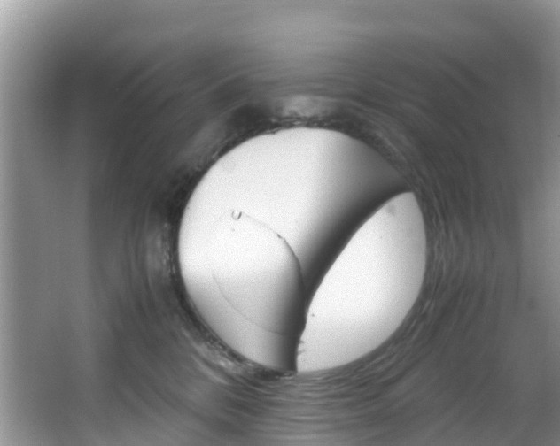 X0000066940328200603240941