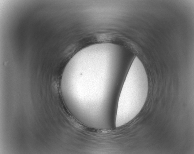 X0000066940329200603240941