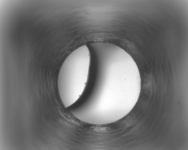 X0000066940332200603240941