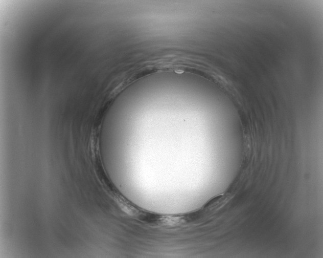 X0000066940333200603240941