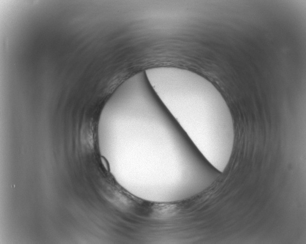 X0000066940334200603240941