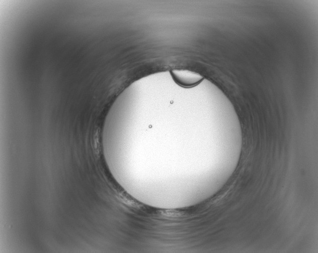 X0000066940336200603240941