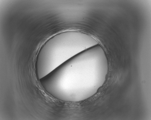 X0000066940337200603240940