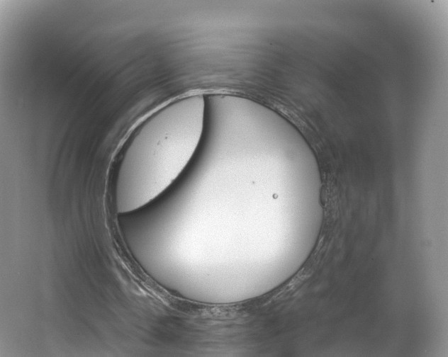 X0000066940338200603240940